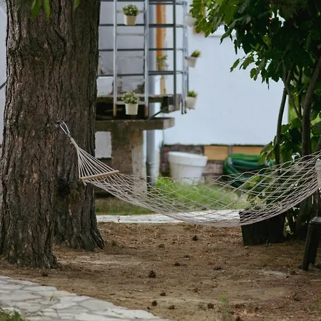 Kucerak Sofija * Cortanovci