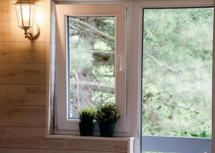 Kucerak Sofija Dom wakacyjny *