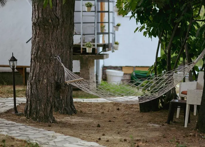 Kucerak Sofija * Cortanovci