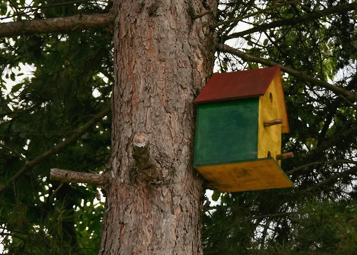 Dom wakacyjny Kucerak Sofija *